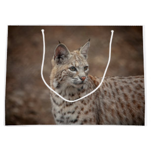 Sacola Para Presentes Grande Retrato de um Bobcat