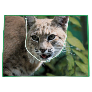Sacola Para Presentes Grande Robert J.Bobcat
