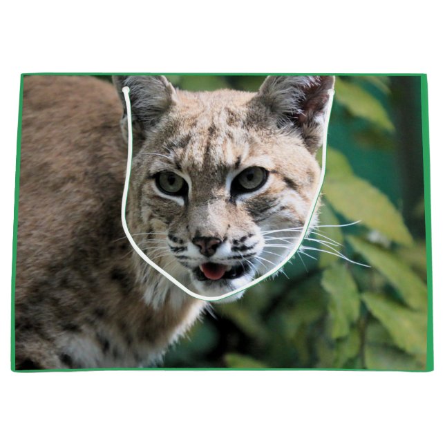 Sacola Para Presentes Grande Robert J.Bobcat (Frente)