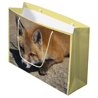Sacola Para Presentes Grande Saca de Presente Luna Fox