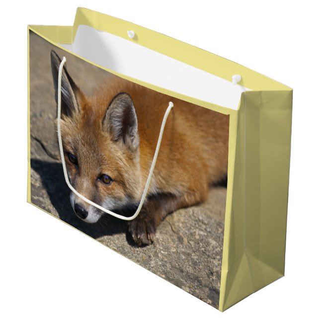 Sacola Para Presentes Grande Saca de Presente Luna Fox (Frente inclinada)