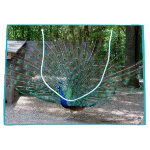 Sacola Para Presentes Grande Saco de presente de Peacock