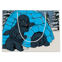 Super Chill Cãozinho da Terra Nova