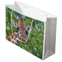 Sweet Curios Giraffe