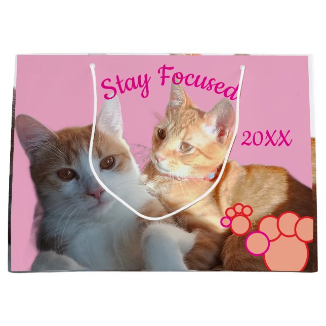 Sacola Para Presentes Grande Valentine's Cats Photo (Frente)