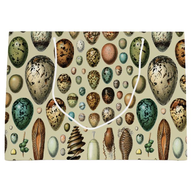 Sacola Para Presentes Grande Various kinds of Egg Scientific Illustration (Frente)