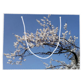 Sacola Para Presentes Grande Zweig der Kirschblüte