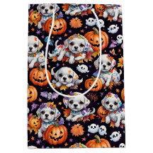 Adorável Cachorrinho e Abóboras de Halloween em Aq