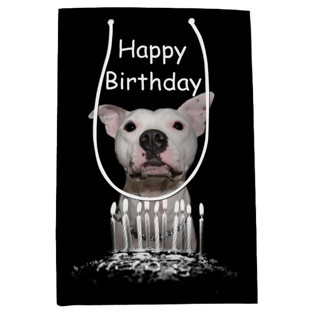 Sacola Para Presentes Média Aniversário branco de Pitbull (Frente)