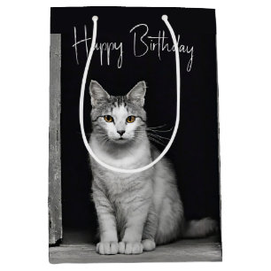 Sacola Para Presentes Média Aniversário Tabby Cat Na Porta