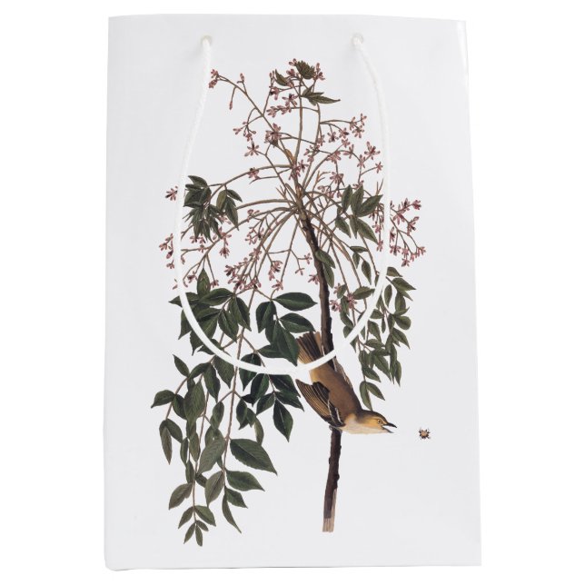 Sacola Para Presentes Média Audubon White Eyed Vireo Song Bird Art (Frente)