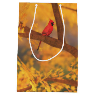 Sacola Para Presentes Média Autumn Guardian Gift Bag