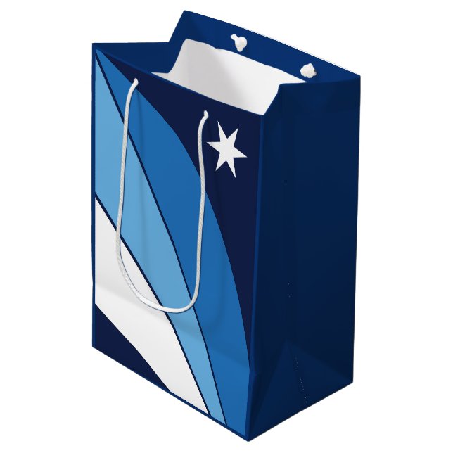 Sacola Para Presentes Média Bandeira da Colúmbia, Carolina do Sul (Frente inclinada)