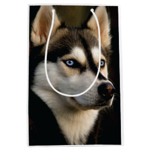 Sacola Para Presentes Média Beautiful Husky Throw Pillow