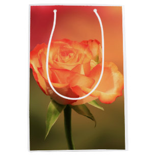 Sacola Para Presentes Média Belo Rosa Romântico Fotografia