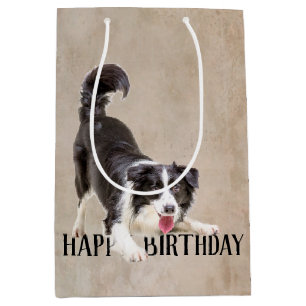 Sacola Para Presentes Média Birthday Border Collie