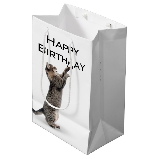 Sacola Para Presentes Média Birthday Tabby Cat (Frente inclinada)
