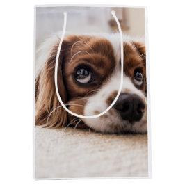 Sacola Para Presentes Média Cachorro Panelado De Olhos Tristes