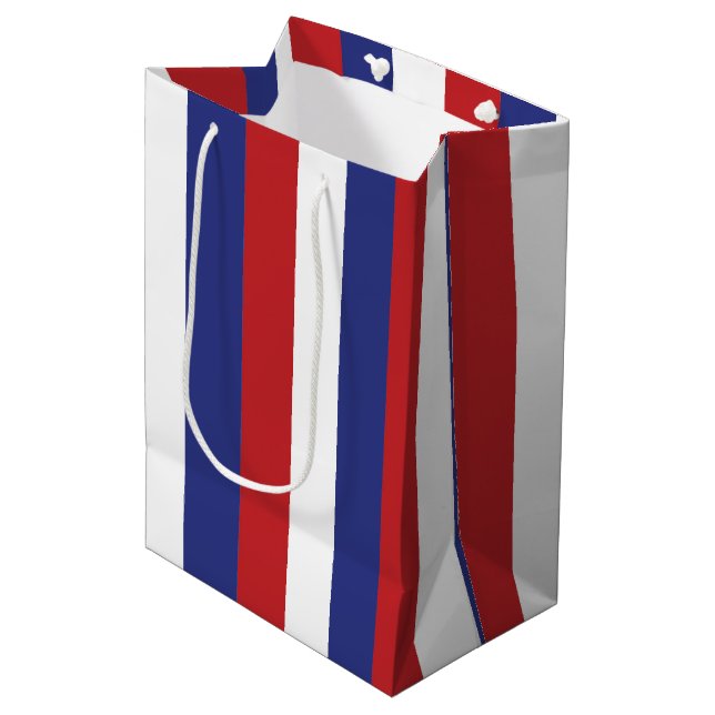 Sacola Para Presentes Média Celebração de 4 de Julho (Frente inclinada)