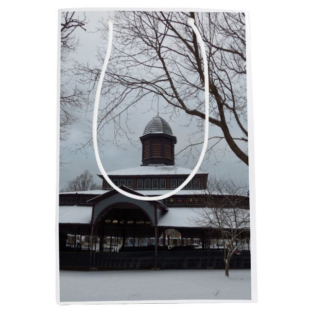 Sacola Para Presentes Média Céus de Cinzas Tabernacle e Neve- Vineyard de Mart (Frente)