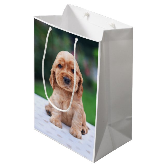 Sacola Para Presentes Média Coker Spaniel Puppy (Frente inclinada)