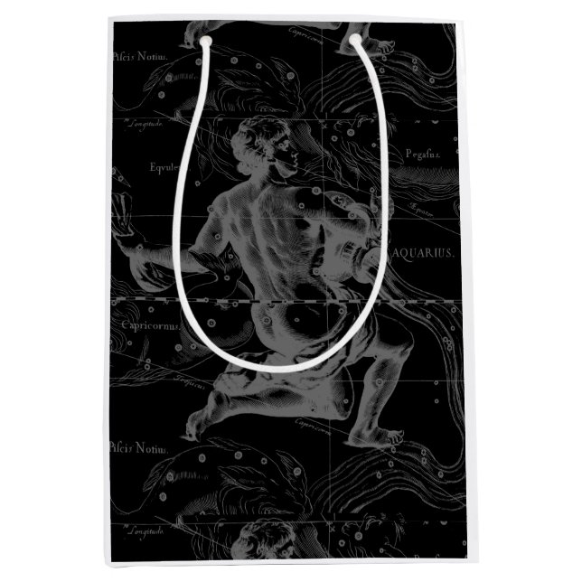 Sacola Para Presentes Média Constelação Aquarius Zodiac Engraçar Hevelius (Frente)