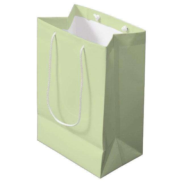 Sacola Para Presentes Média Cor do Vazio Sólido Verde Cheia (Frente inclinada)