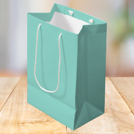 Sacola Para Presentes Média Cor Sólida Azul De Ovo Robin Pálido