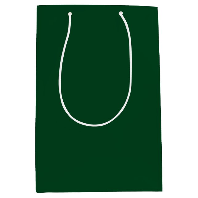 Sacola Para Presentes Média Cor Sólida Verde (Frente)