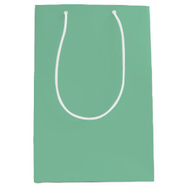 Sacola Para Presentes Média Cor Sólida Vintage Seafoam