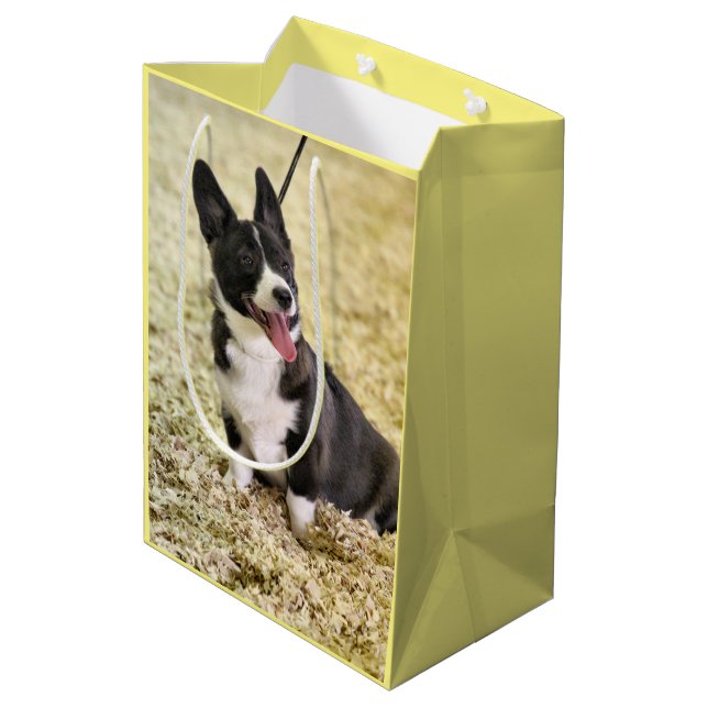 Sacola Para Presentes Média Corgi (Verso inclinado)