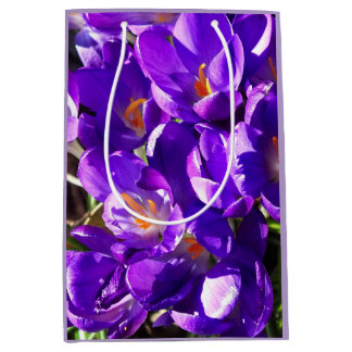SACOLA PARA PRESENTES MÉDIA CROCOS DE PRIMAVERA