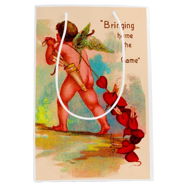 Sacola Para Presentes Média Dan Cupid Trazendo Para Casa O Jogo (Frente)