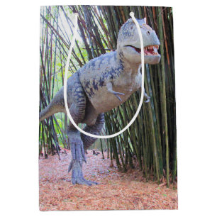 Sacola Para Presentes Média Daspletossauro - Saco do Presente do Dinossauro
