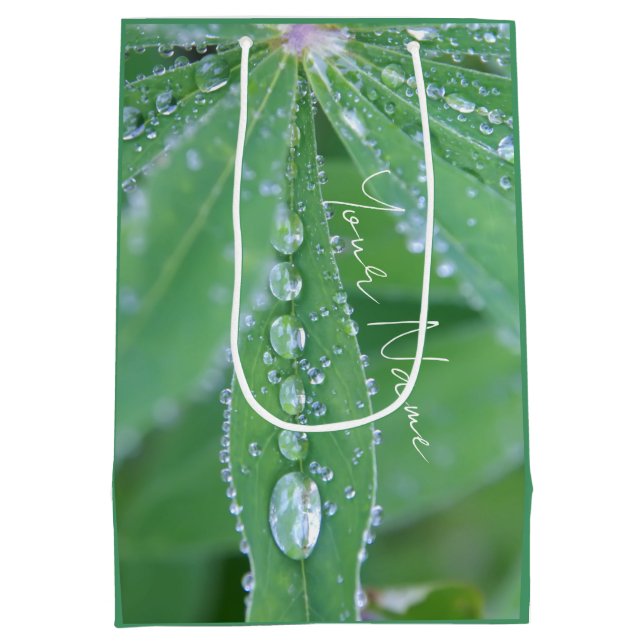 Sacola Para Presentes Média Dewdrop (Verso)