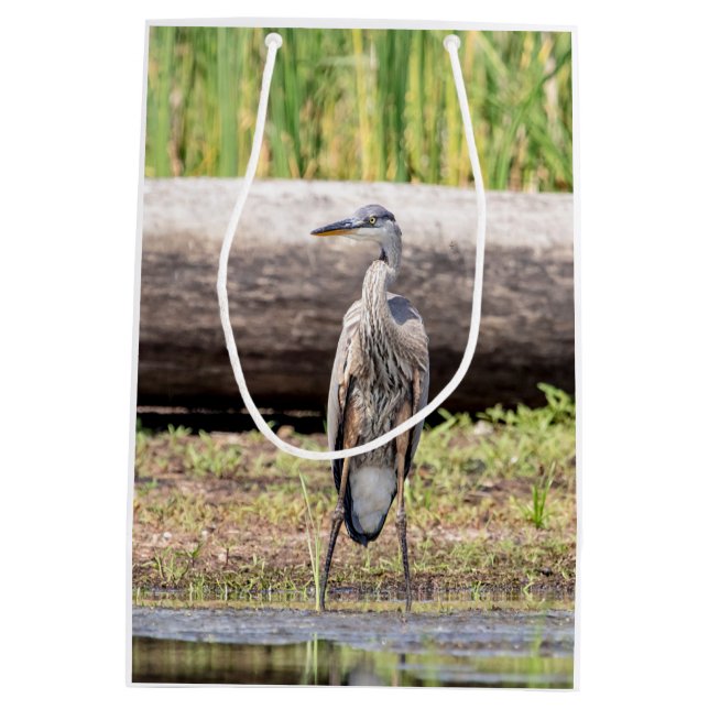 Sacola Para Presentes Média Excelente Blue Heron no lago Champlain (Verso)