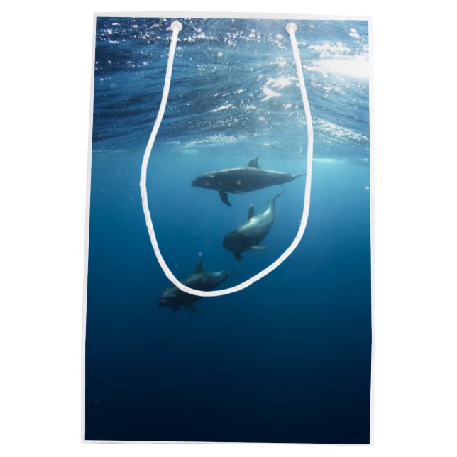 Sacola Para Presentes Média Família do golfinho (Verso)