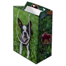 Felicidade Boston Terrier com Fotografia de Flores