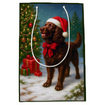 Feriado do American Water Spaniel