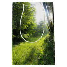 Floresta Verde