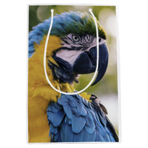 Sacola Para Presentes Média Fotografia do Retrato do Perfil do Macaw
