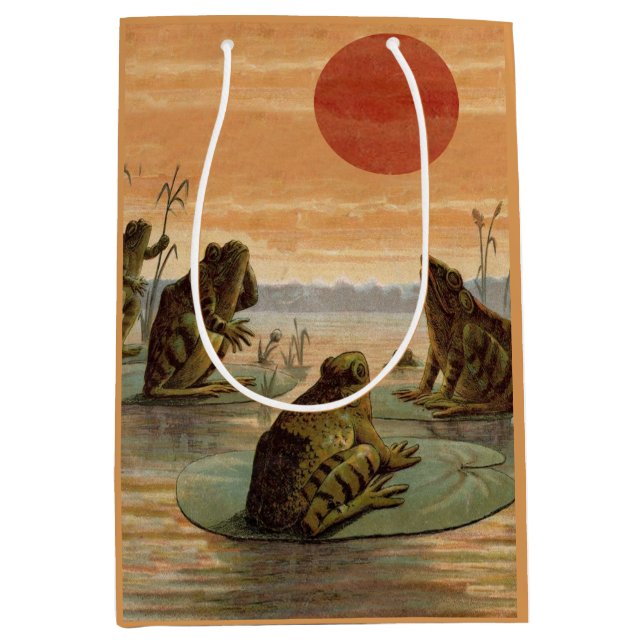 Sacola Para Presentes Média Frogs Lily Pads Moon Illustration (Frente)