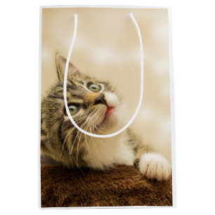Sacola Para Presentes Média Gatinho Bonito com Pata Estendida