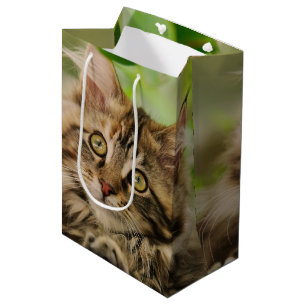 Sacola Para Presentes Média Gatinho bonito do racum de Maine