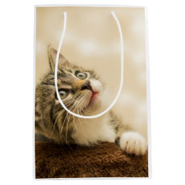 Sacola Para Presentes Média Gatinho Fofo com uma Pata Estimulada