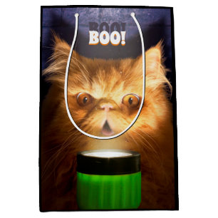 Sacola Para Presentes Média Gato com lanterna