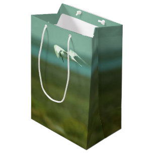 Sacola Para Presentes Média Gift Bag (med) - Tern in Flight