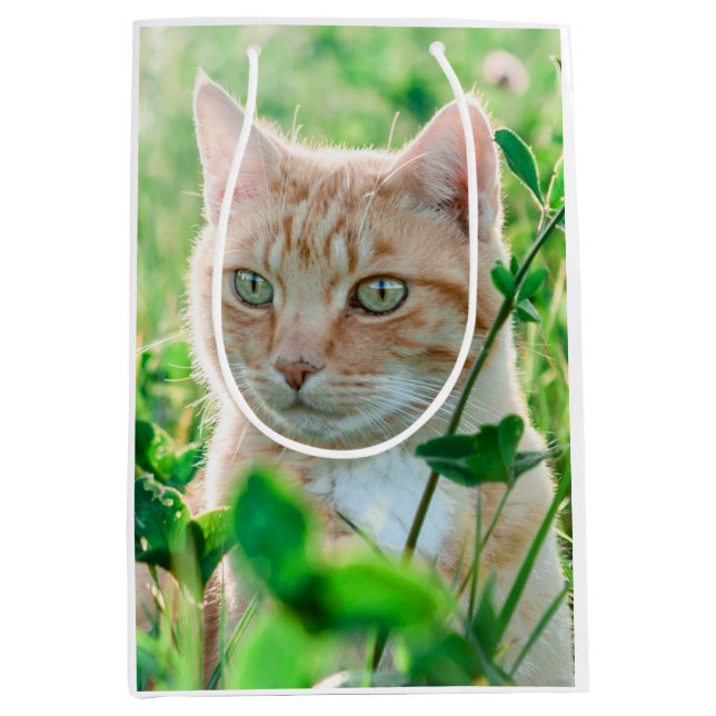Sacola Para Presentes Média Ginger Cat com olhos verdes na grama (Frente)
