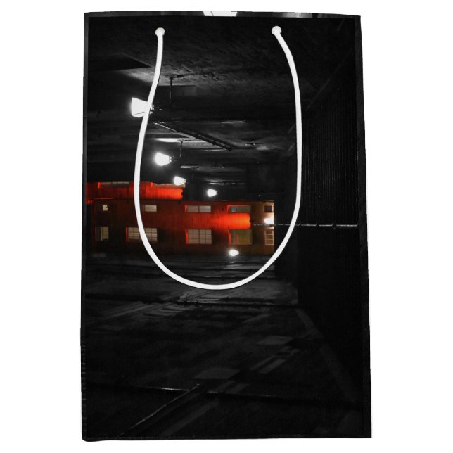 Sacola Para Presentes Média Gothic Staircase (Frente)