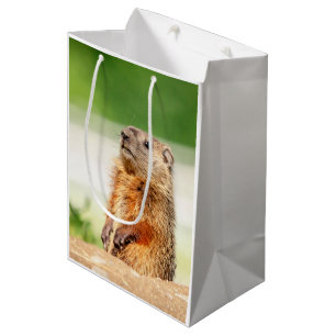 Sacola Para Presentes Média Groundhog novo